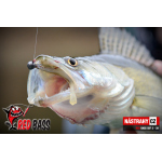 Smáčik REDBASS SSF 4