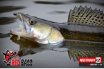 Smáčik REDBASS SSF 4