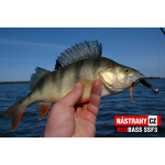 Smáčik REDBASS SSF 3
