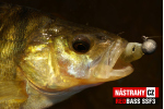 Smáčik REDBASS SSF 3