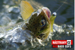 Smáčik REDBASS SSF 3