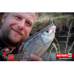 Mikrosmáčik REDBASS SSR 1