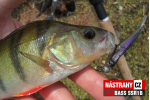 Mikrosmáčik REDBASS SSR 1B