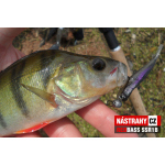 Mikrosmáčik REDBASS SSR 1B