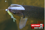 Mikrosmáčik REDBASS SSR 1B