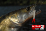 Smáčik REDBASS SSR 3
