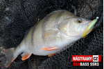 Smáčik REDBASS SSR 3