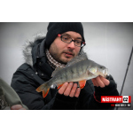 Smáčik REDBASS SSR 3