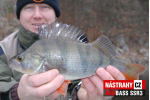 Smáčik REDBASS SSR 3