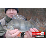 Smáčik REDBASS SSR 3