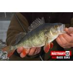 Smáčik REDBASS SSR 3
