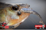Smáčik REDBASS SSR 3