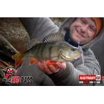 Smáčik REDBASS SSR 3