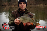 Smáčik REDBASS SSR 3