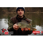 Smáčik REDBASS SSR 3