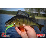 Smáčik REDBASS SSR 3