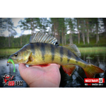 Smáčik REDBASS SSR 3