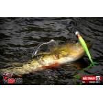 Smáčik REDBASS SSR 3