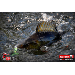 Smáčik REDBASS SSR 3