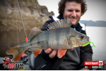 Smáčik REDBASS SSR 3