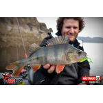 Smáčik REDBASS SSR 3
