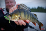 Smáčik REDBASS SSR 3