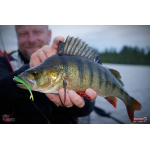 Smáčik REDBASS SSR 3