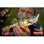 Smáčik REDBASS SSR 3