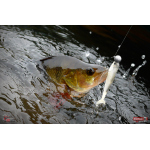 Smáčik REDBASS SSR 3