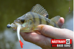 Smáčik REDBASS SSR 3