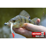 Smáčik REDBASS SSR 3