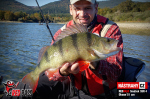Smáčik REDBASS SSR 3