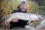 Ripper REDBASS SWIMMER XXL - 200 mm