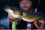 Ripper REDBASS SWIMMER XXL - 200 mm