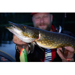 Ripper REDBASS SWIMMER XXL - 200 mm