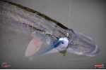 Ripper REDBASS SWIMMER XXL - 200 mm