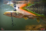 Ripper REDBASS SWIMMER XXL - 200 mm