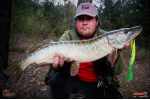 Ripper REDBASS SWIMMER XXL - 200 mm