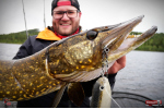 Ripper REDBASS SWIMMER XXL - 200 mm
