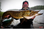 Ripper REDBASS SWIMMER XXL - 200 mm