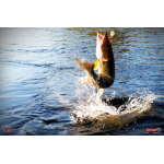 Ripper REDBASS SWIMMER XXL - 200 mm