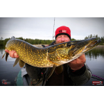 Ripper REDBASS SWIMMER XXL - 200 mm