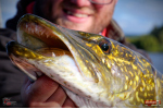 Ripper REDBASS SWIMMER XXL - 200 mm