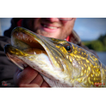 Ripper REDBASS SWIMMER XXL - 200 mm