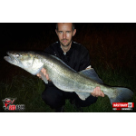 Ripper REDBASS SWIMMER L - 90 mm