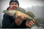 Ripper REDBASS SWIMMER L - 90 mm