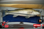 Ripper REDBASS SWIMMER XL - 140 mm