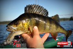 Ripper REDBASS SWIMMER XL - 140 mm