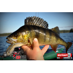 Ripper REDBASS SWIMMER XL - 140 mm