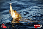 Ripper REDBASS SWIMMER L - 90 mm